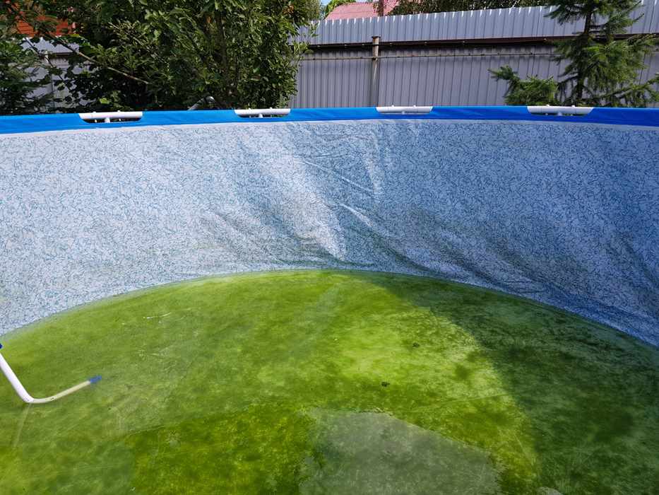 piscine hors sol eau verte